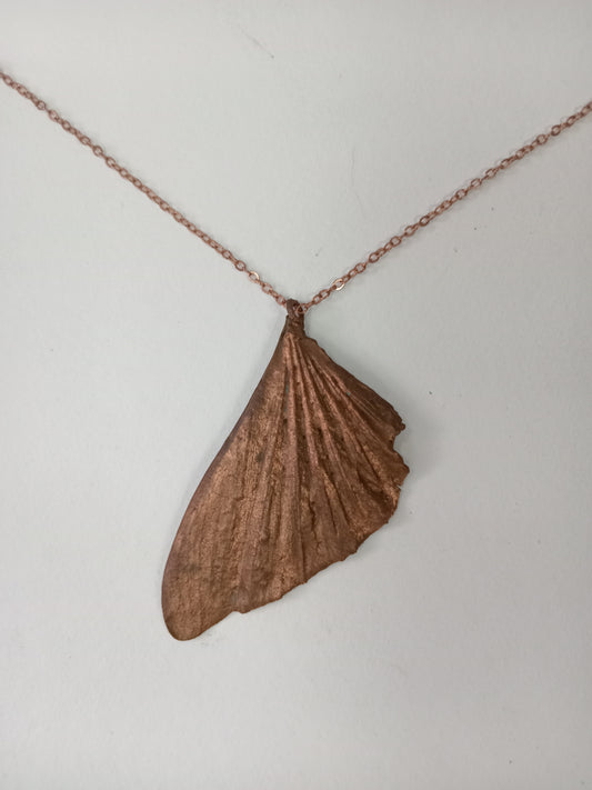 Grasshopper wing