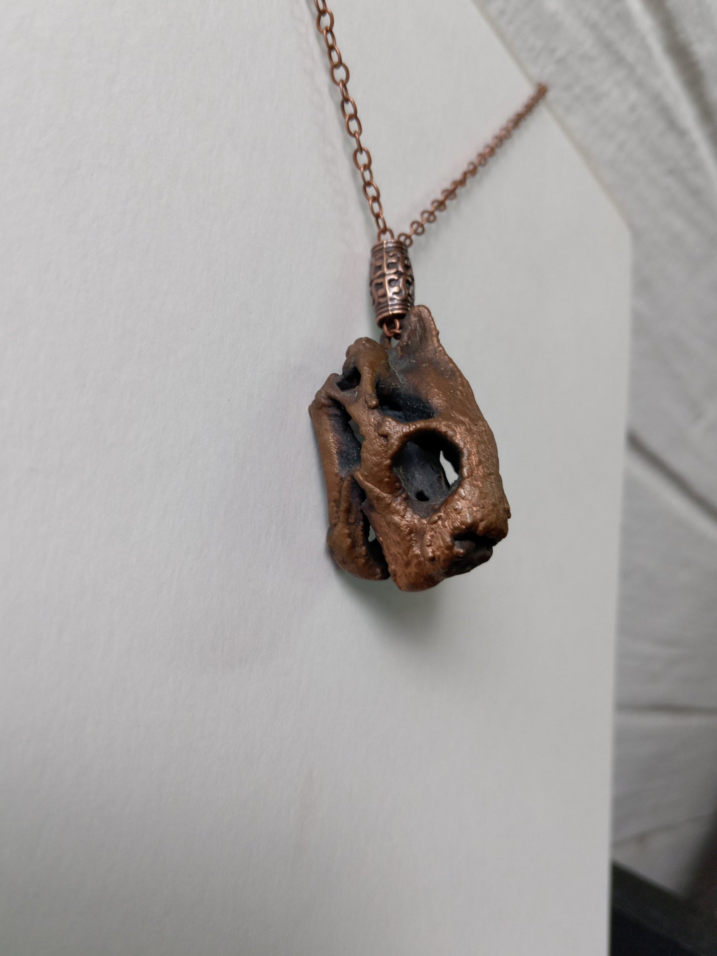 Tortoise Skull