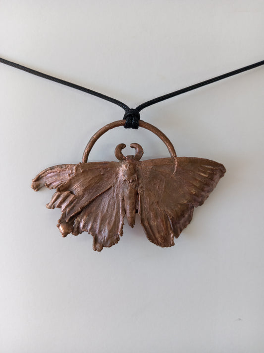 Copper Moth