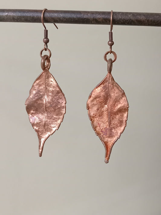 Copper Leaf