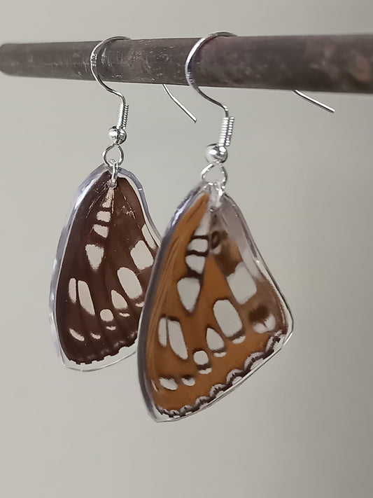 Black, white and Orange