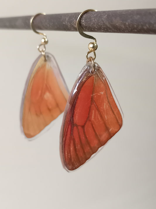 Orange beauty
