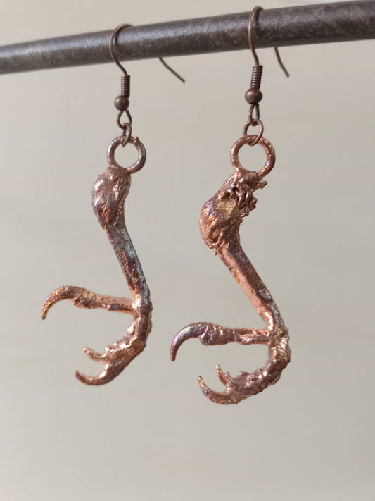 Bird Feet