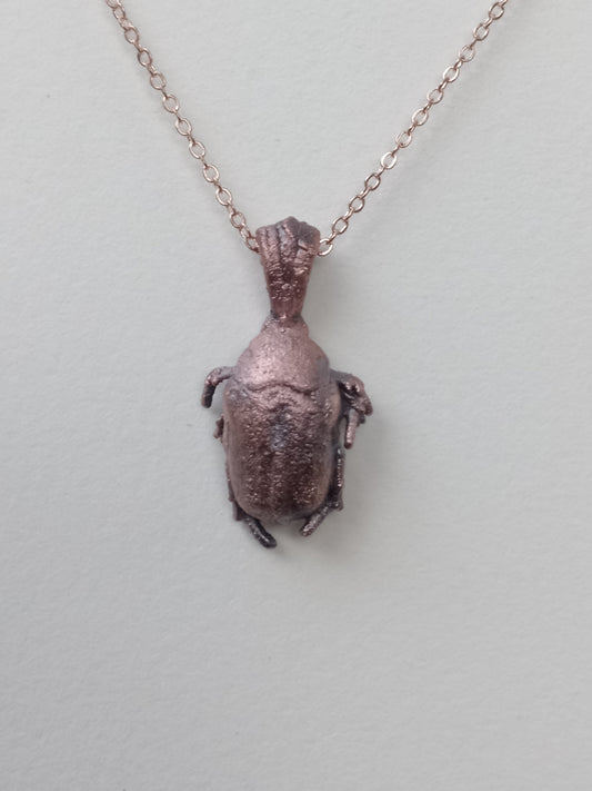 Beetle