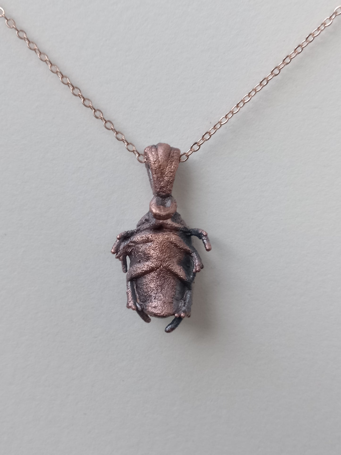 Beetle