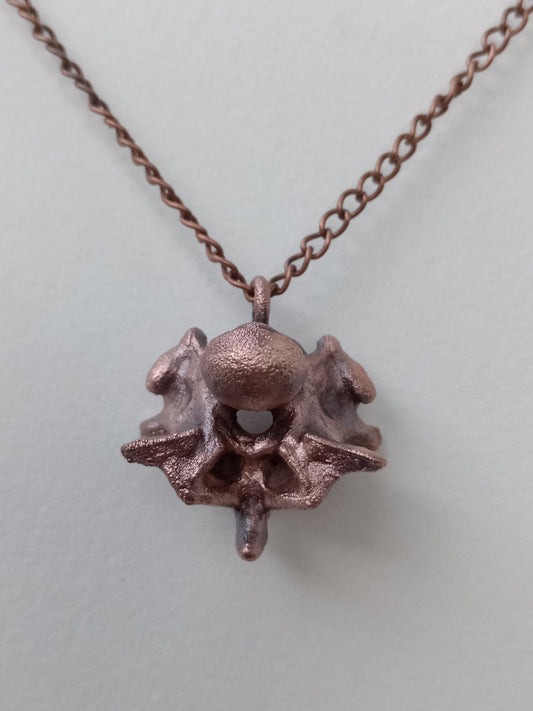 Snake Vertebra