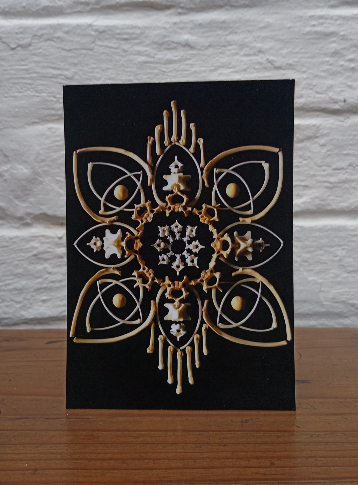 Bone Mandala Postcard