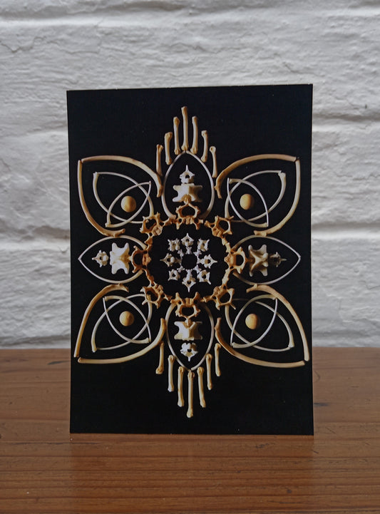 Bone Mandala Postcard