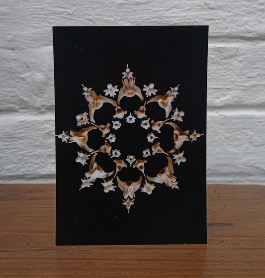 Bone Mandala Postcard