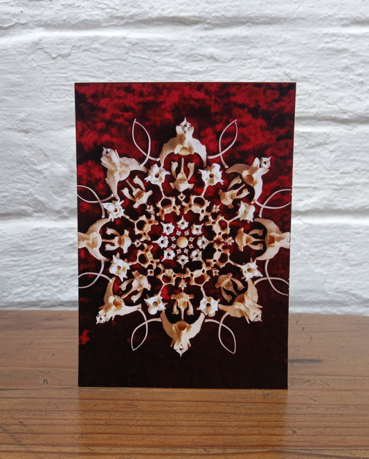 Bond Mandala Postcard