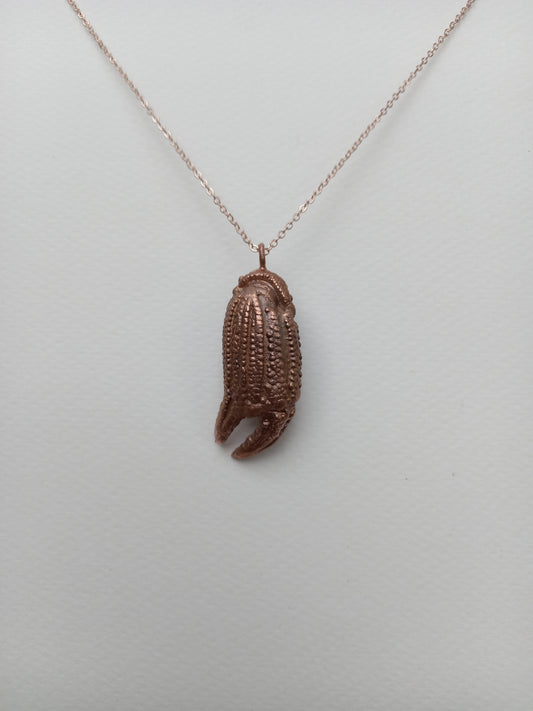 Crab Claw