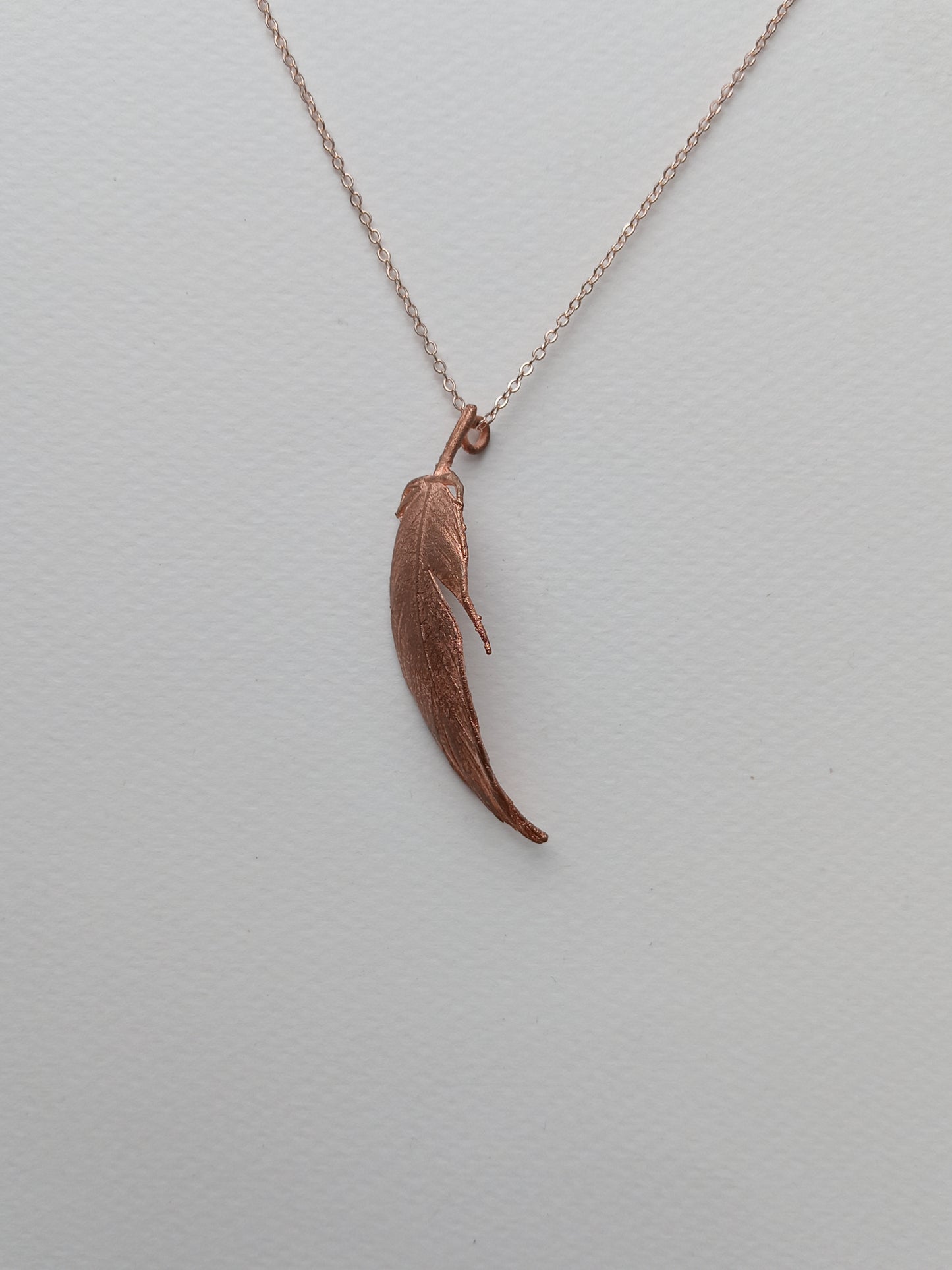 Feather