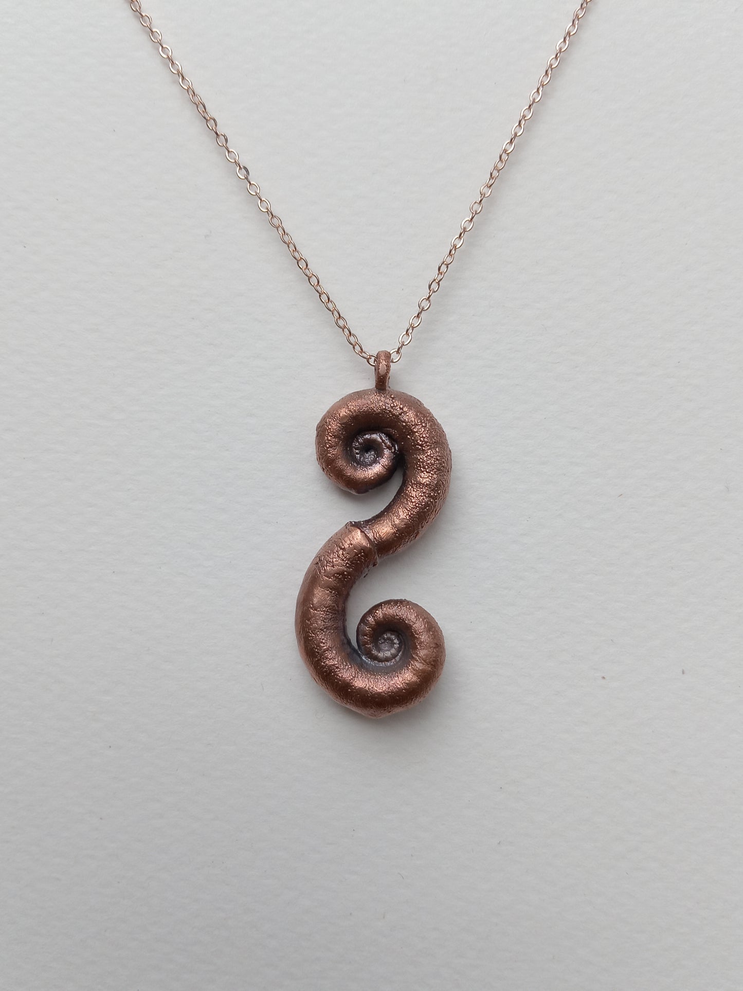 Spiral Shells