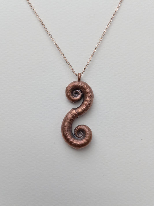 Spiral Shells