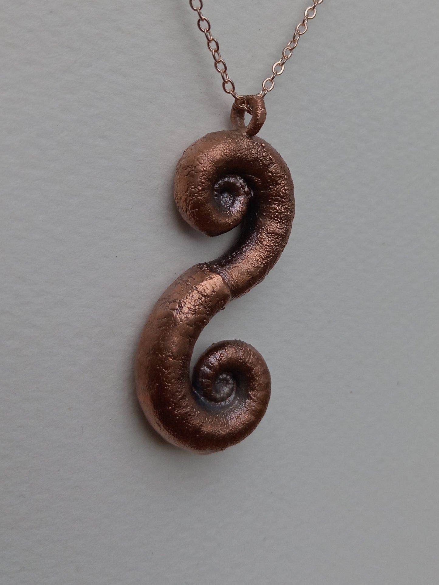 Spiral Shells