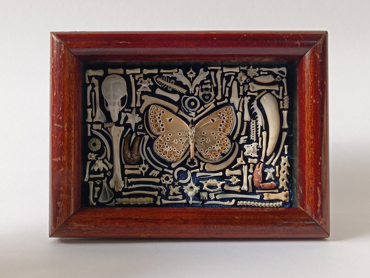 Small Nature Compostion