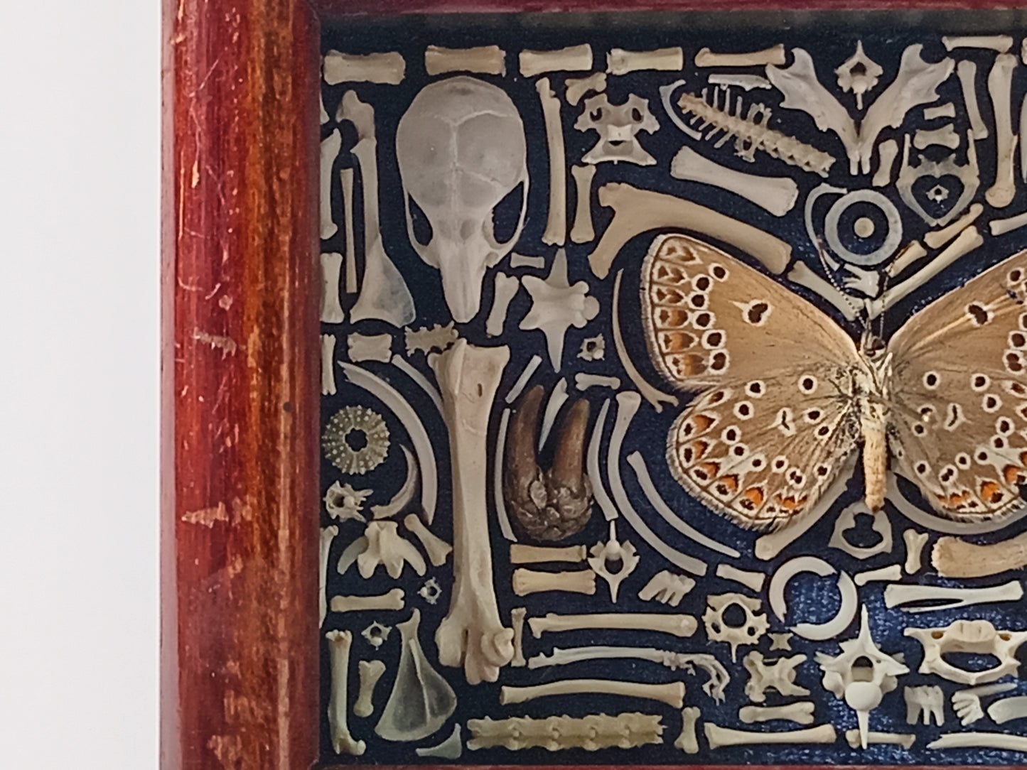 Small Nature Compostion