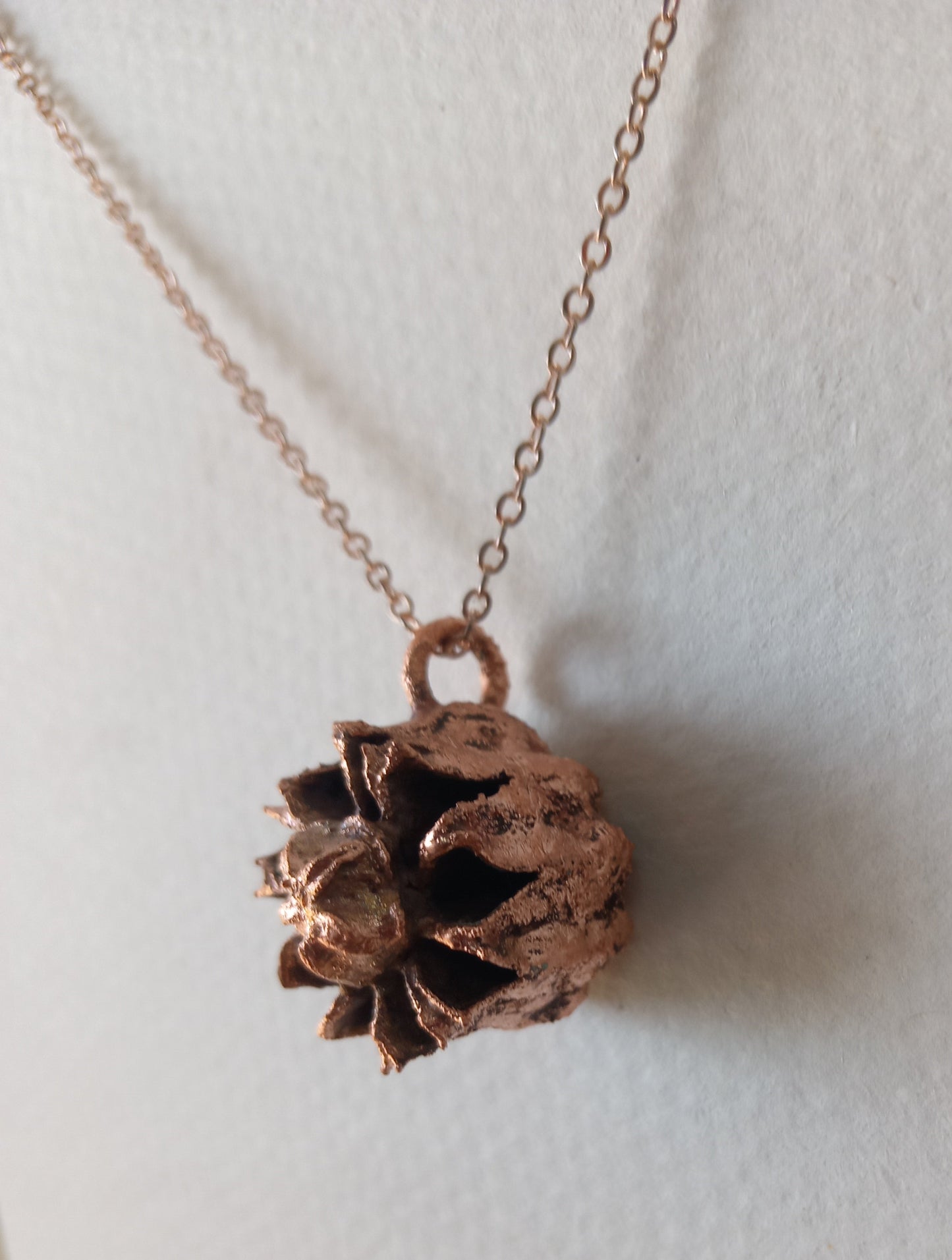 Seedpod
