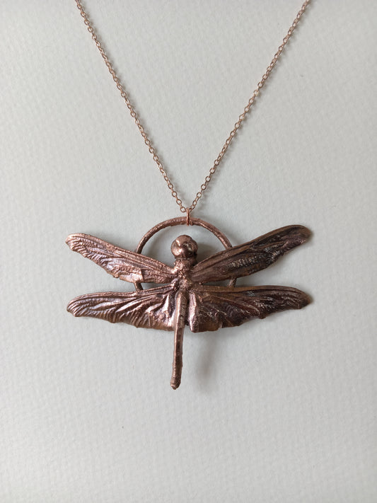 Dragonfly