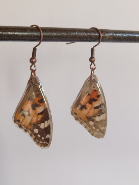 Painted Lady