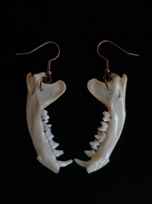Mongoose Mandibles