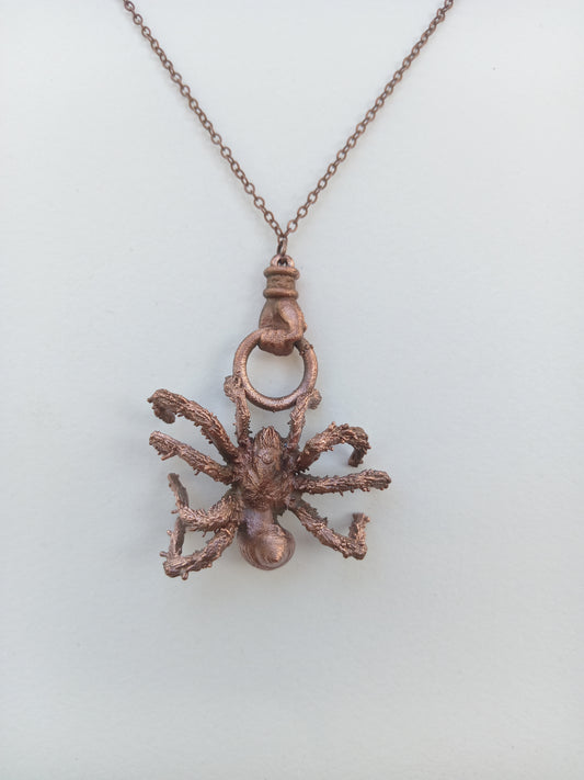 Spider