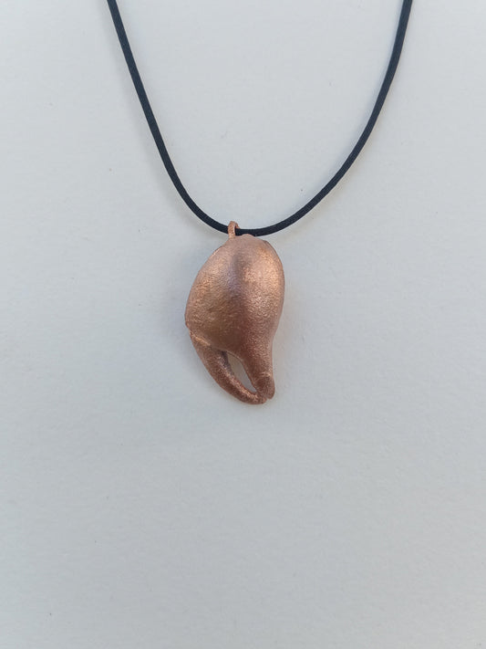 Crab Claw Small