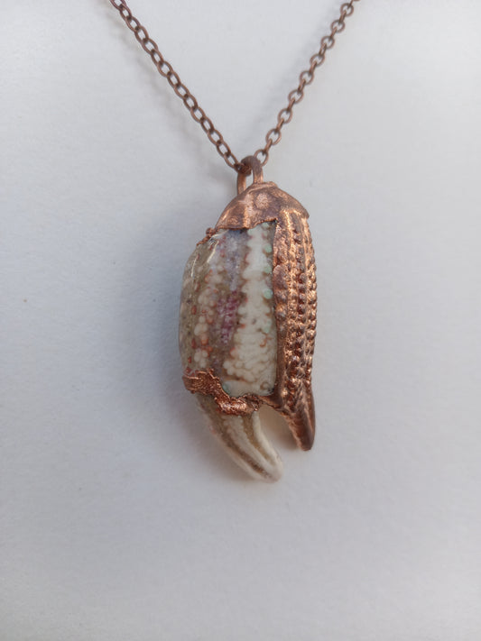 Crab Claw