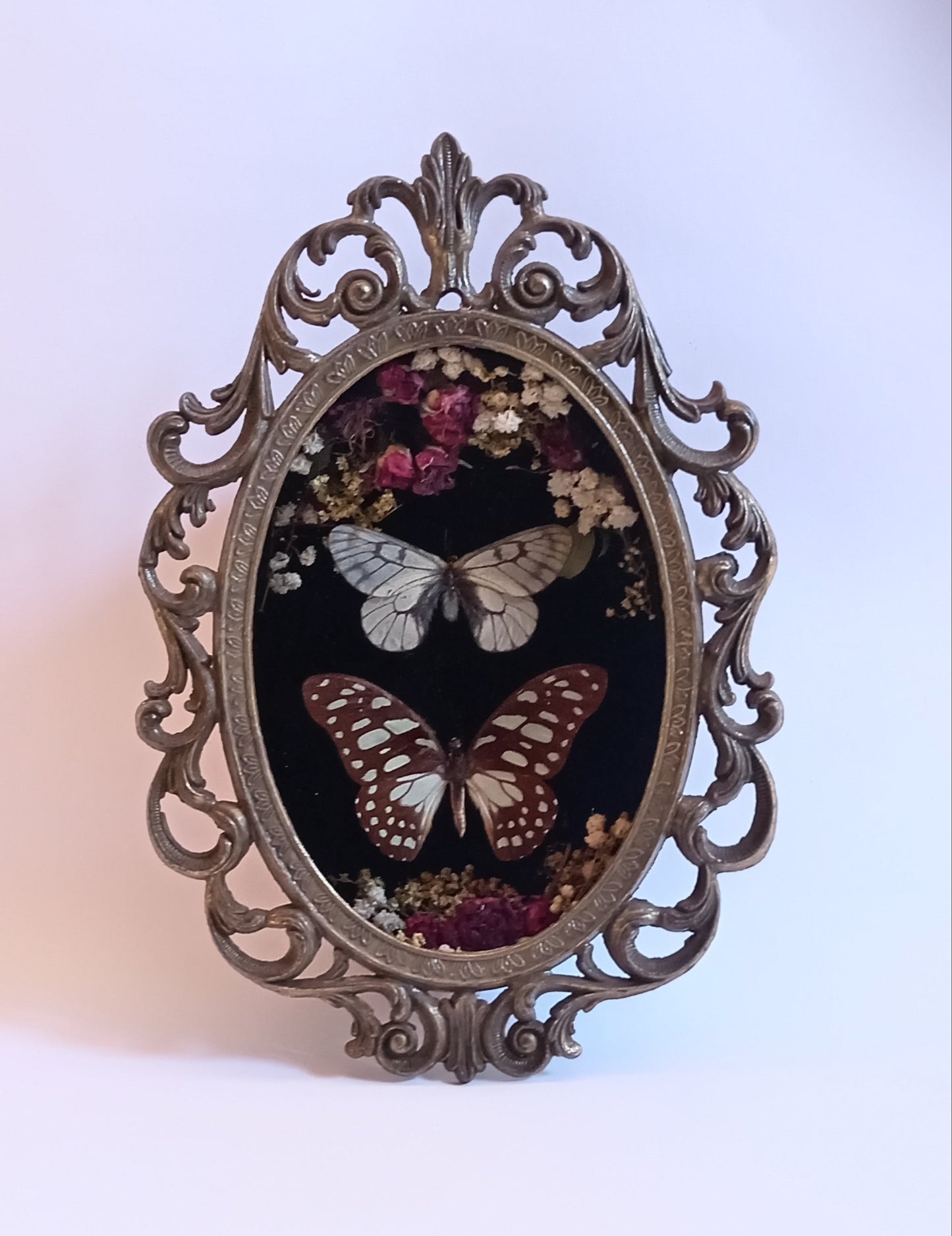 Butterflies in Vintage Frame