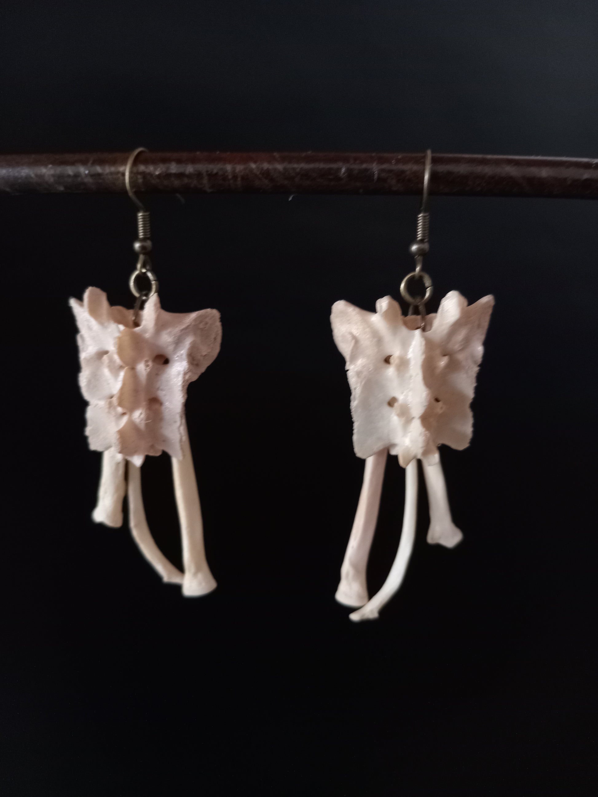 Bone earrings on a dark background