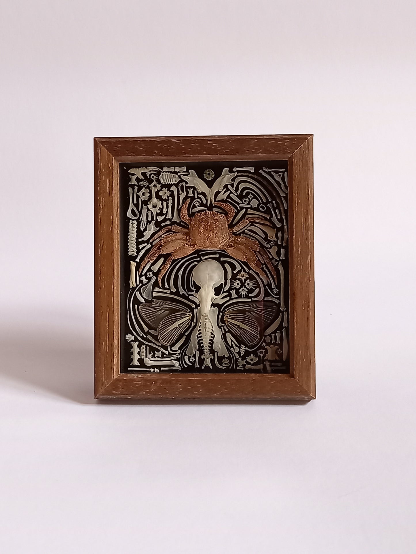 Nature Composition Crab Fairy