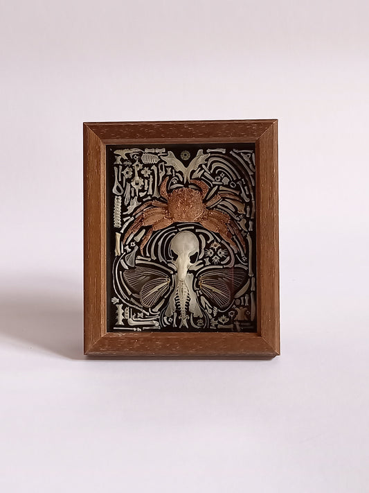 Nature Composition Crab Fairy