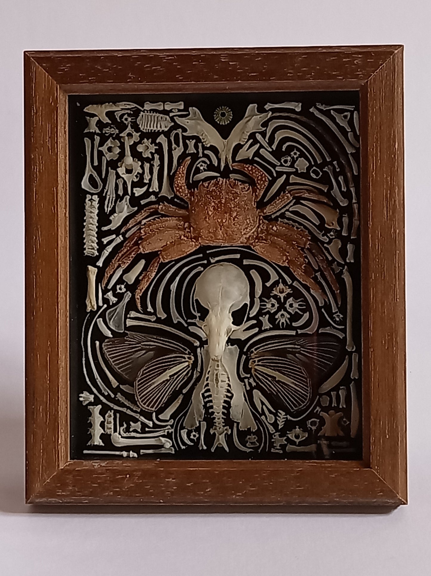 Nature Composition Crab Fairy