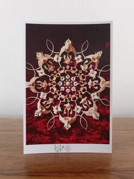 Mongoose and Snake Bone Mandala - Red