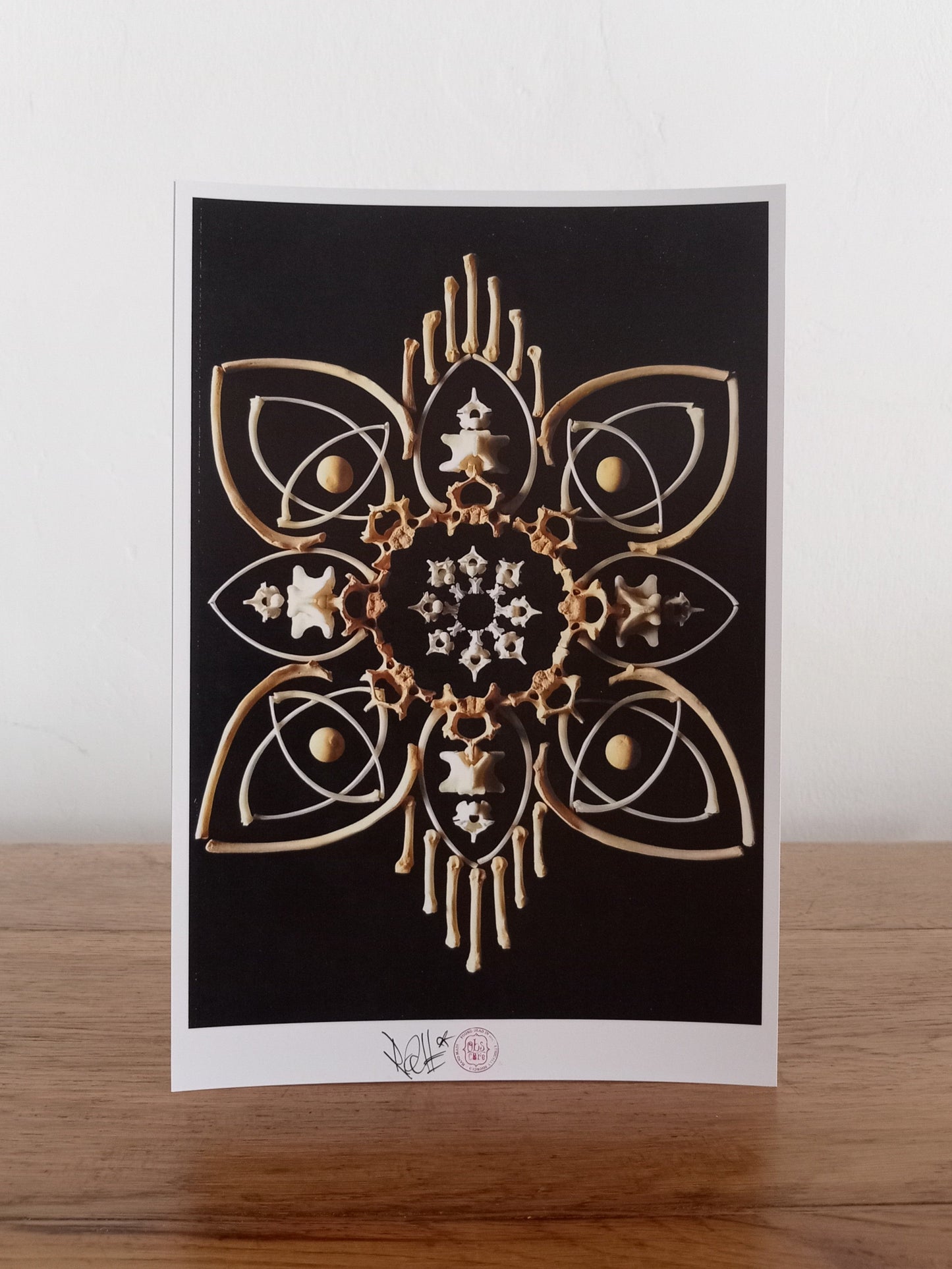 Snake and Mongoose Mandala - Black