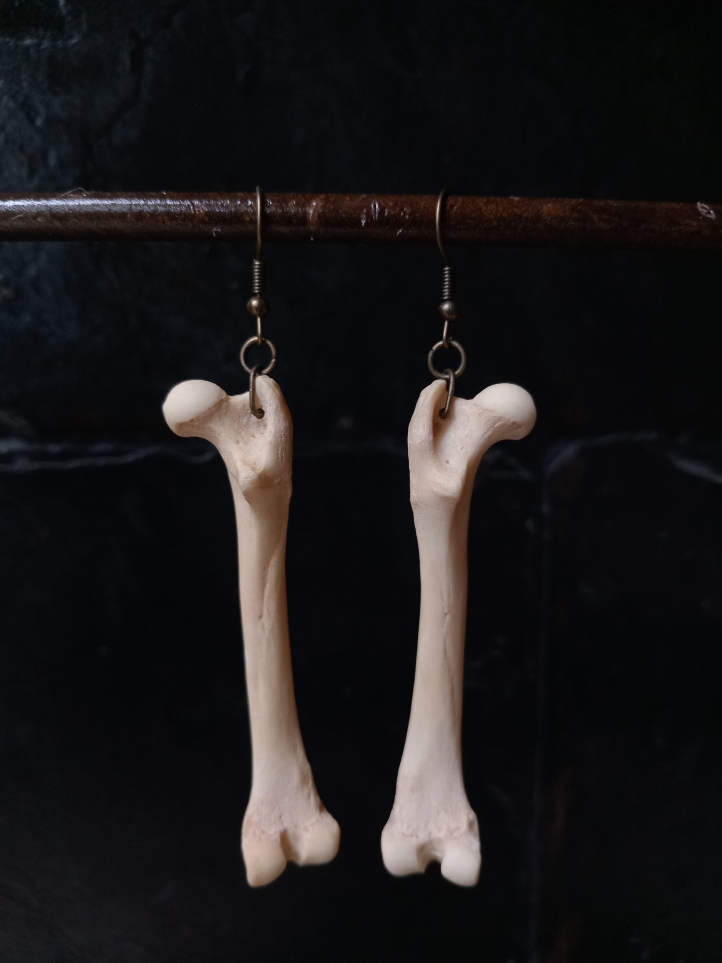 Cat Bone Earrings