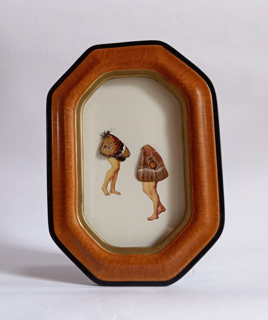 Butterfly legs in Vintage Frame