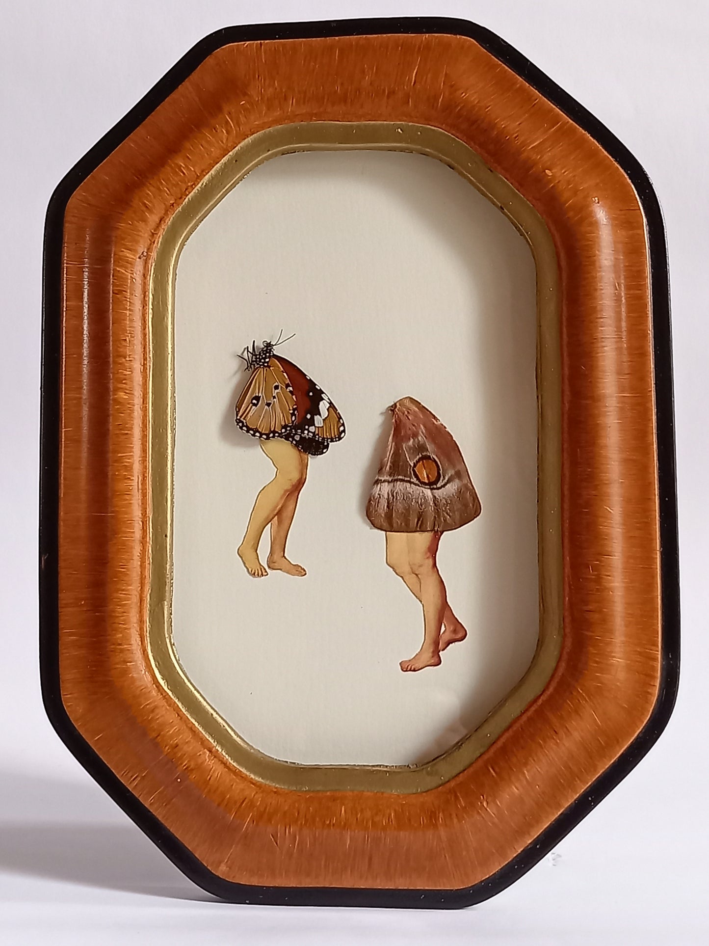 Butterfly legs in Vintage Frame