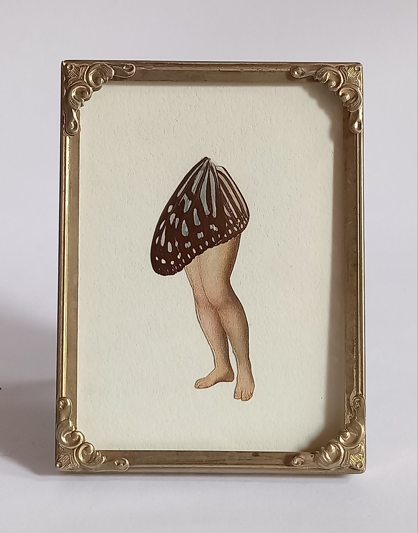 Butterfly Legs, blue