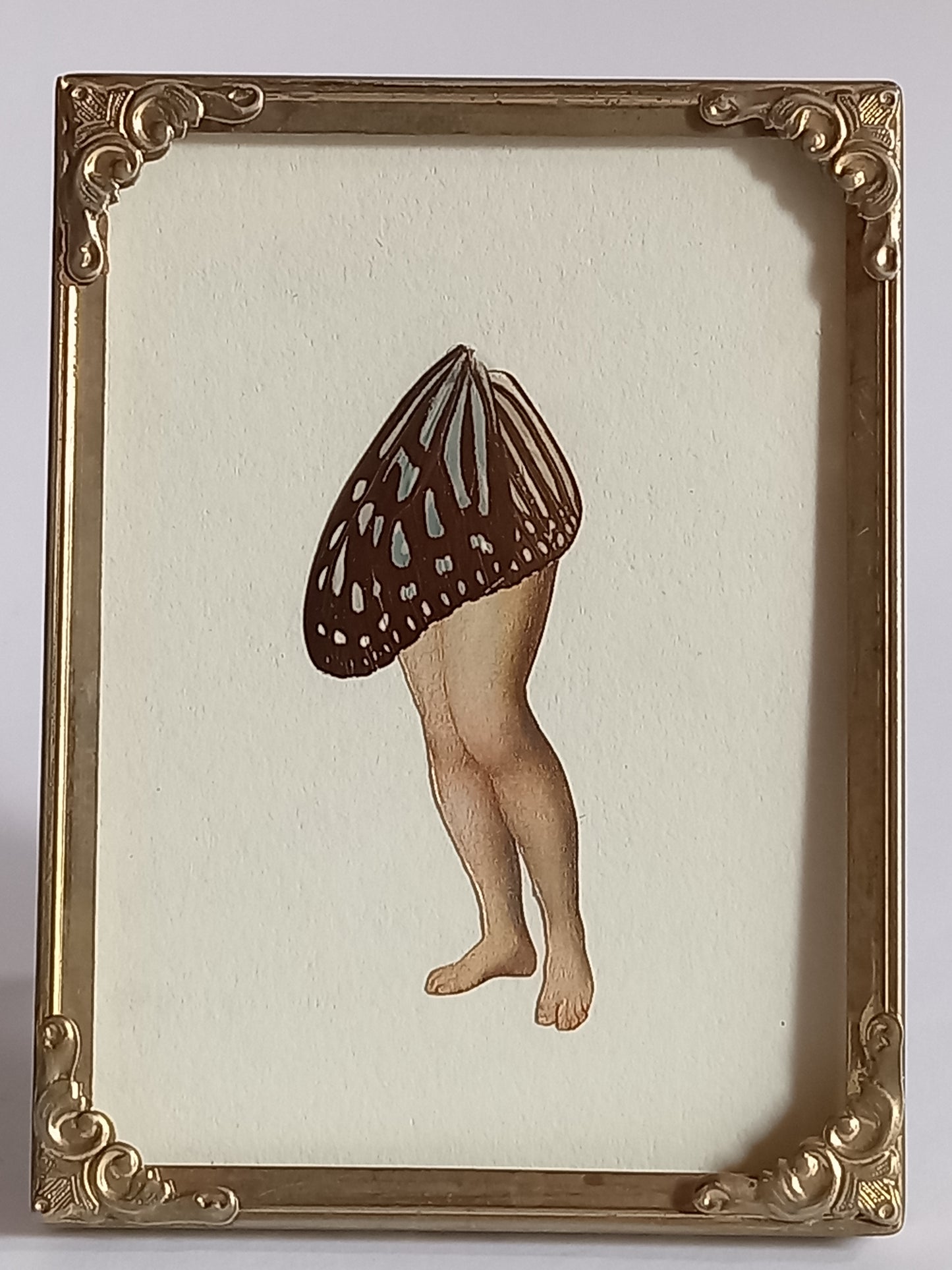 Butterfly Legs, blue