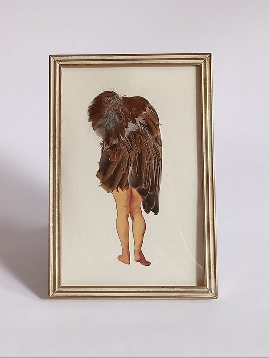 Bird Legs