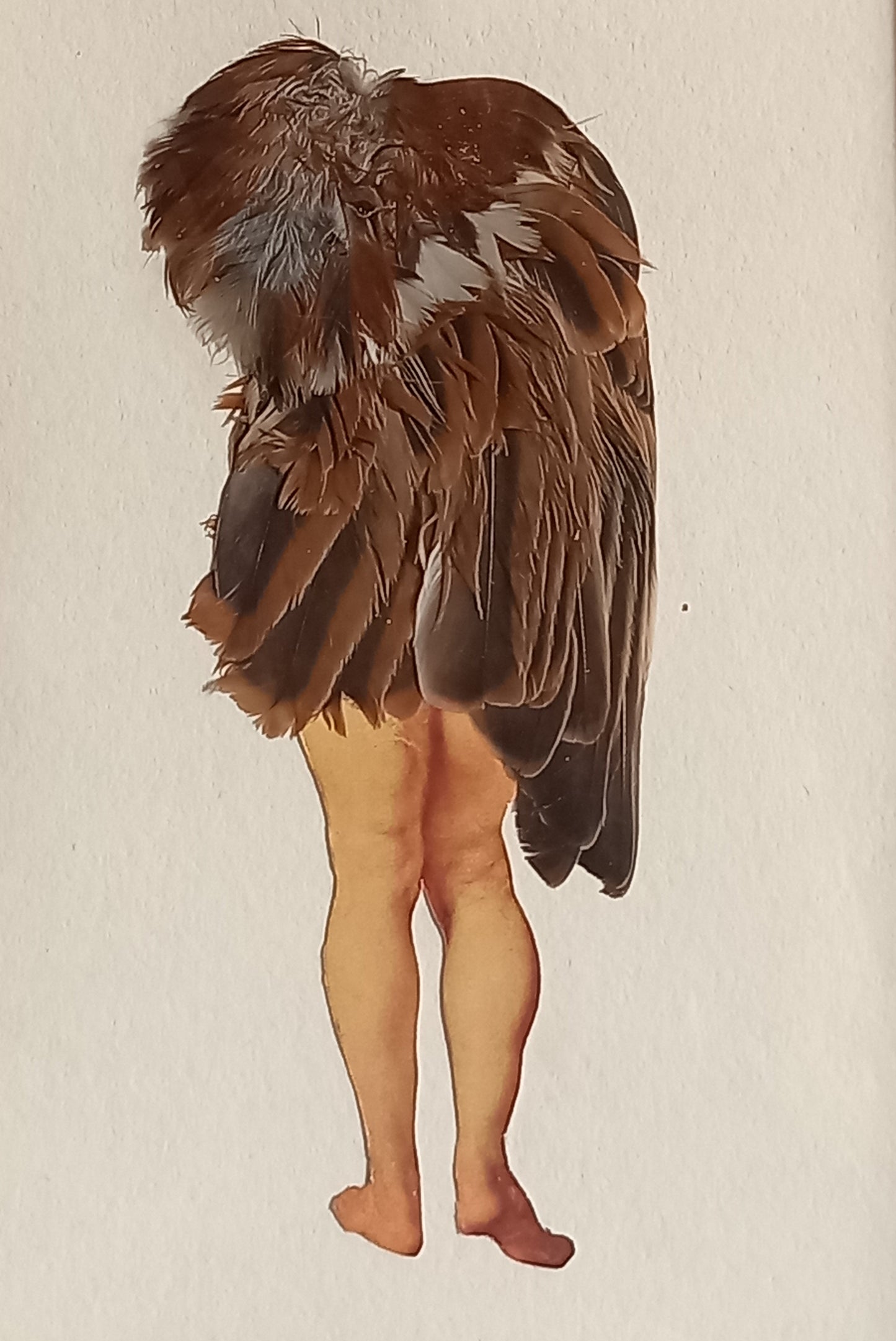 Bird Legs
