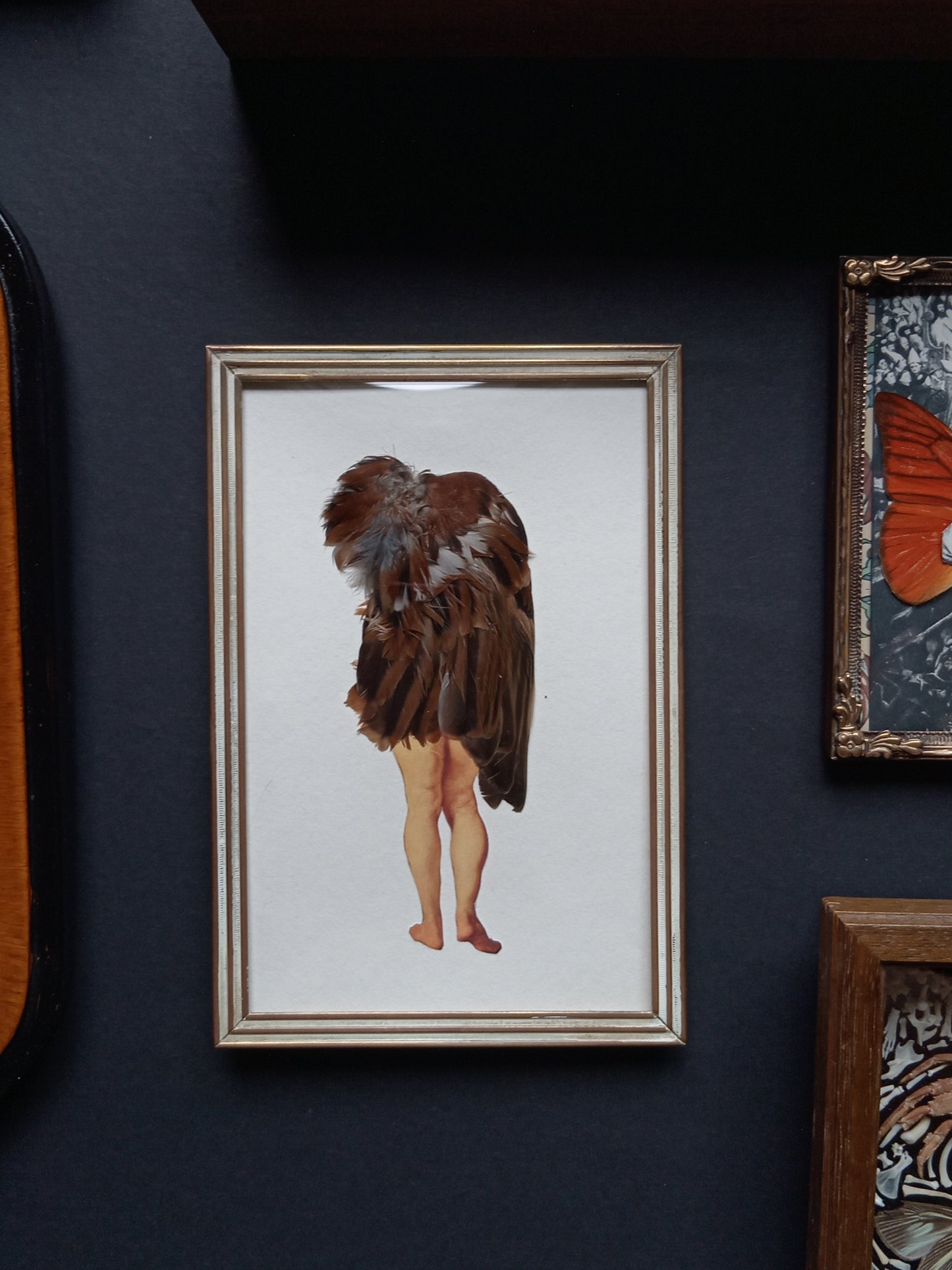 Bird Legs