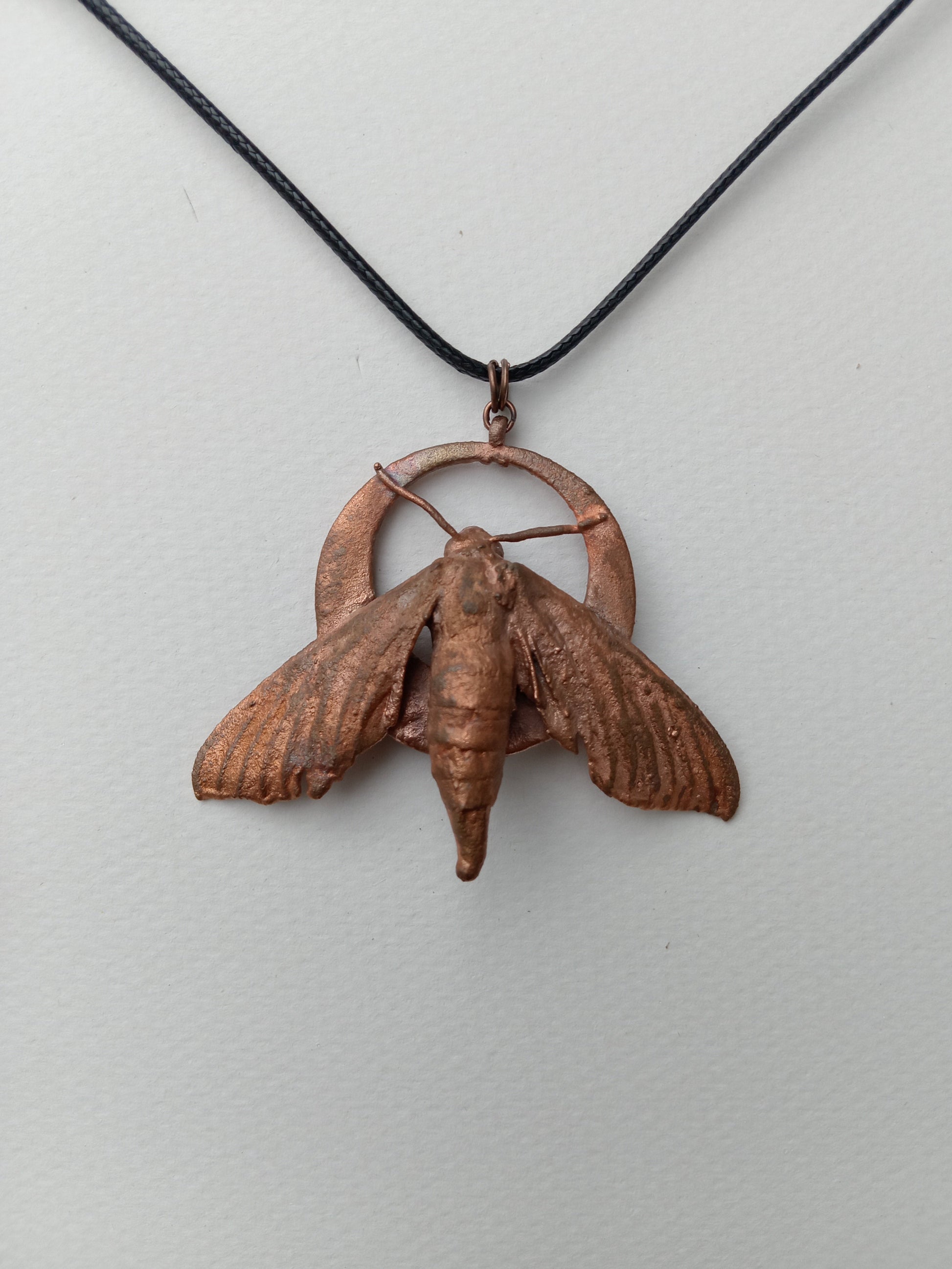 Electroformed copper moth pendant, found specimen ethically sourced, handmade in South Africa
