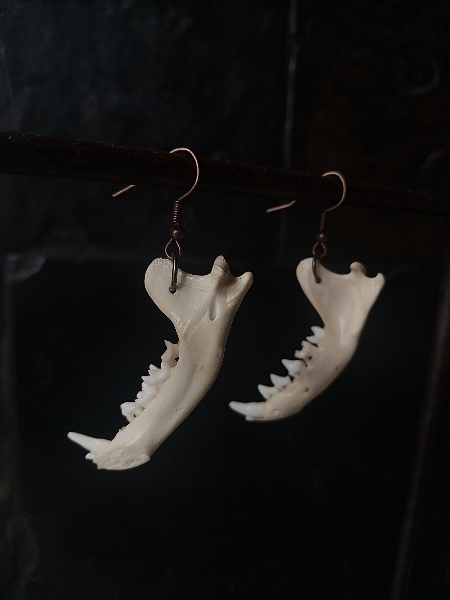 Mongoose Mandibles