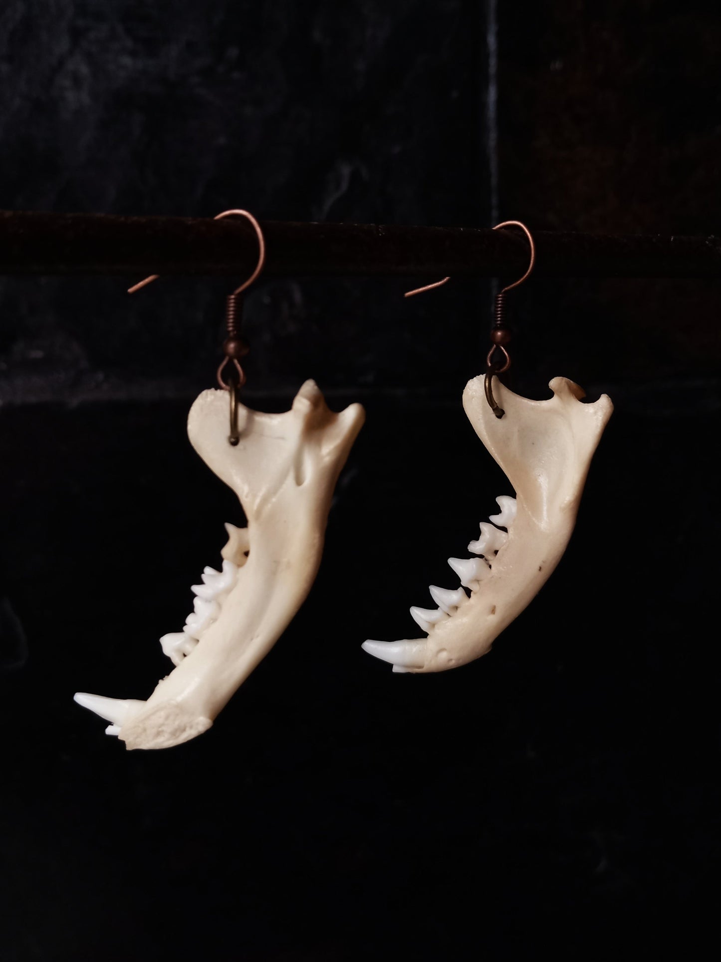 Mongoose Mandibles