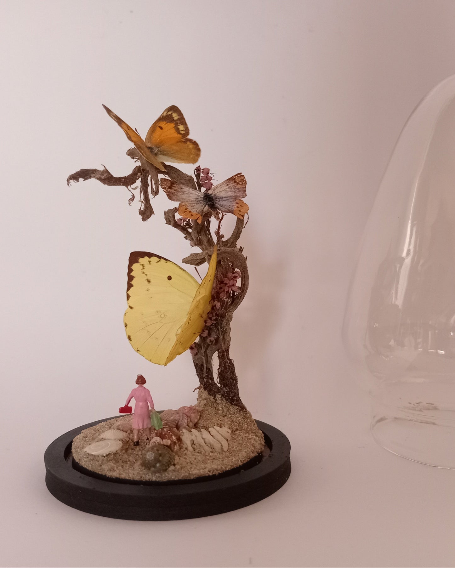 Butterfly Diorama