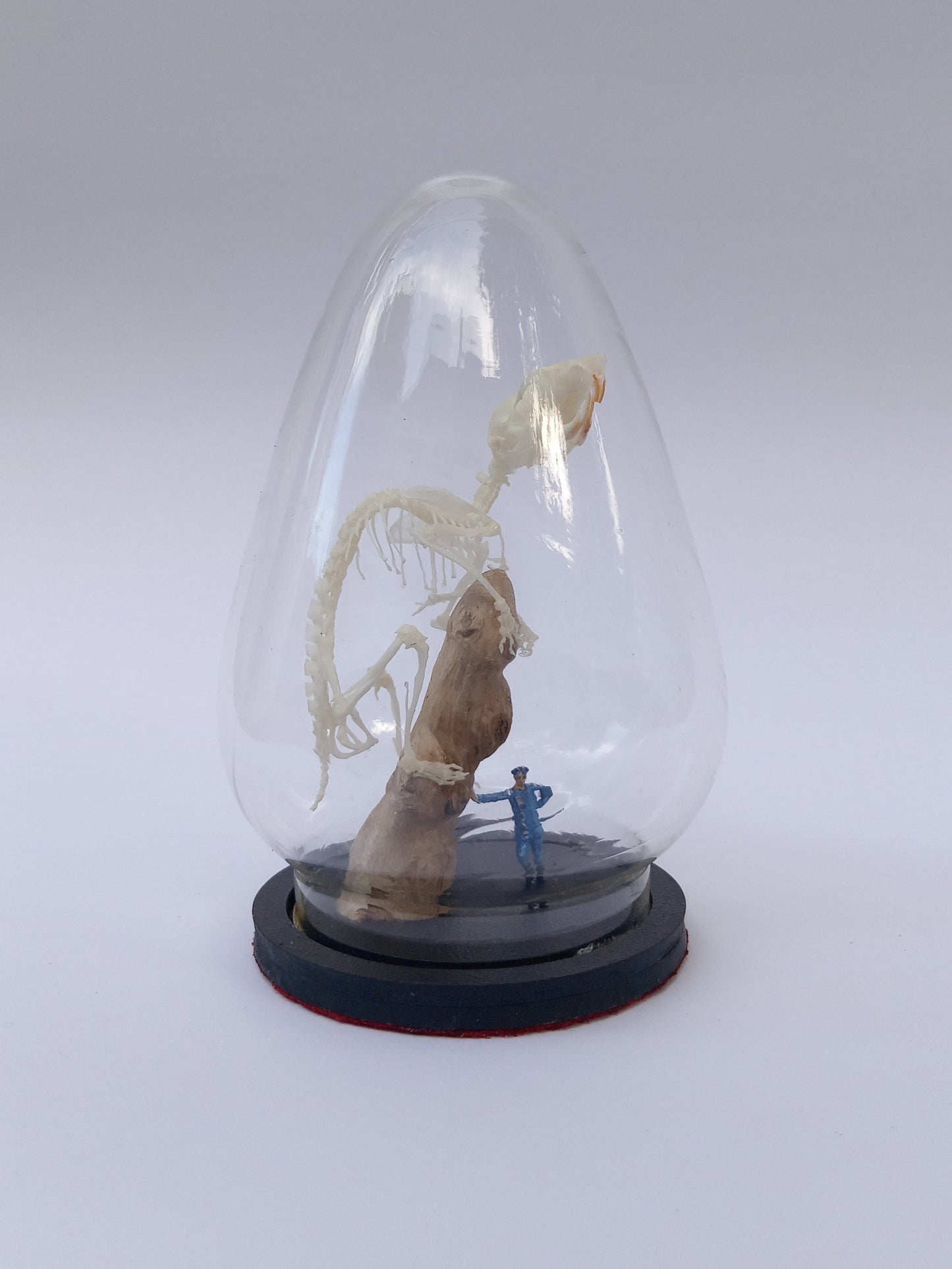 Hamster Diorama