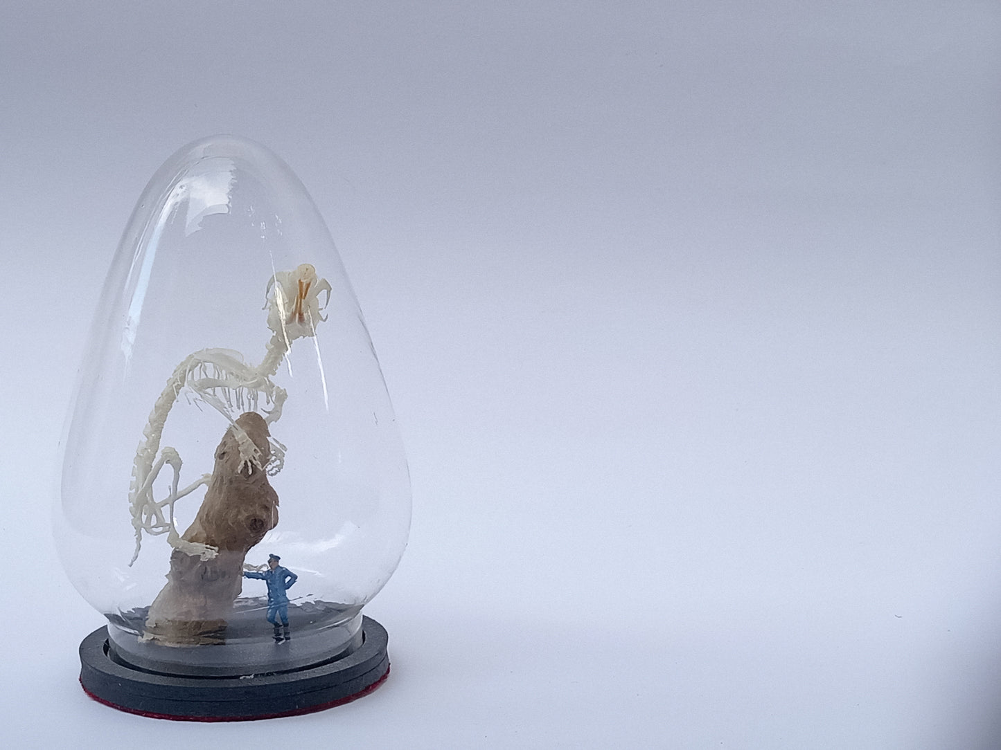 Hamster Diorama
