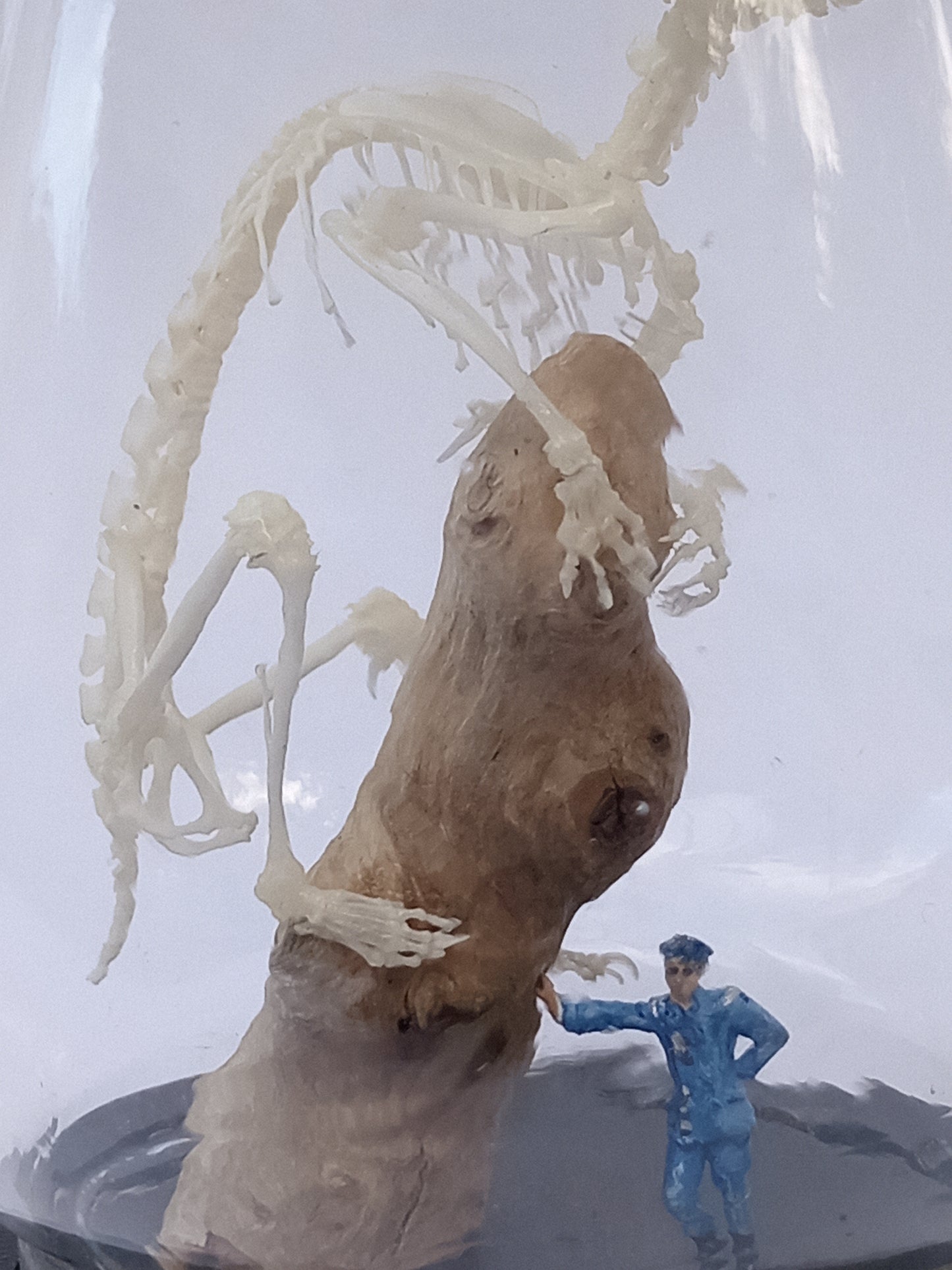 Hamster Diorama